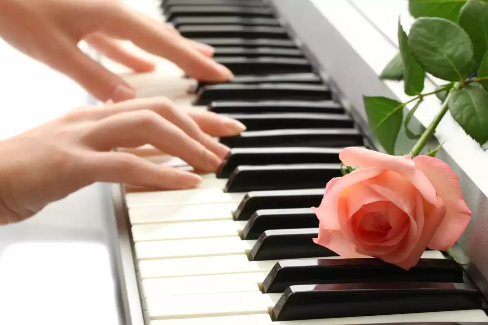 Popular melodies, famous ballads and organ toccatas - preview image