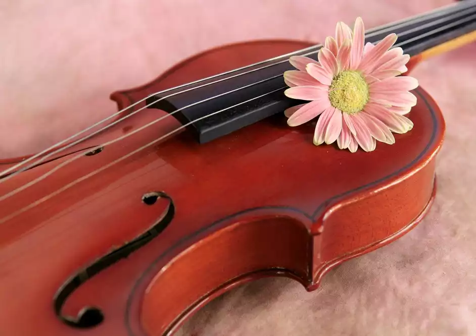 Svět hudby mezi barokem a jazzem - preview image