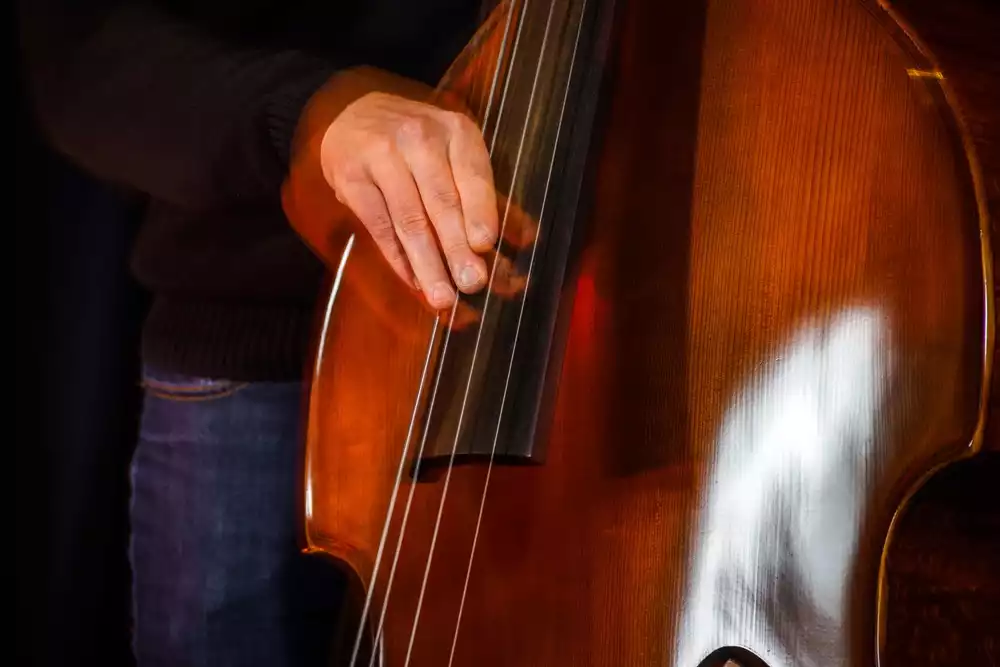 Champagne Lovers Band (dixieland) - preview image
