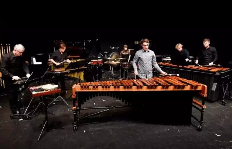 Academy of Performing Arts Percussion Ensemble - preview image