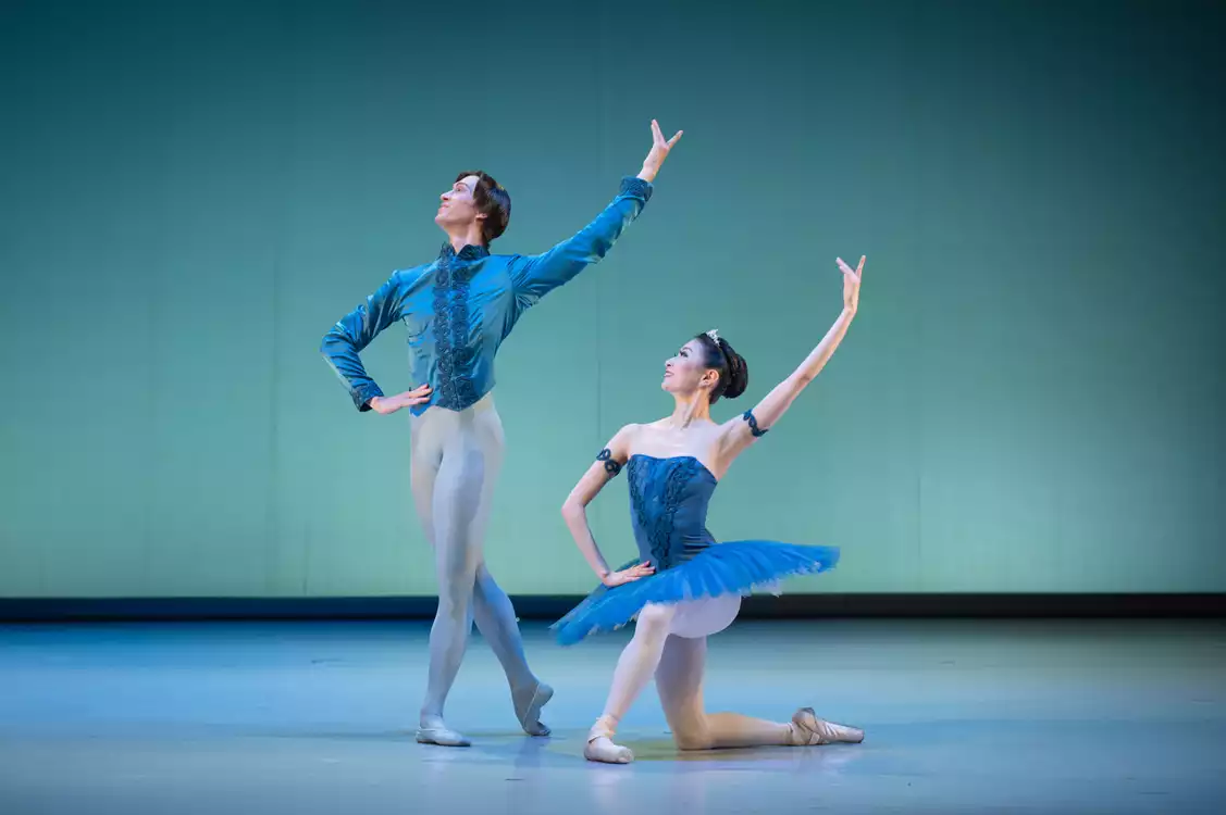 Ballet Gala - preview image