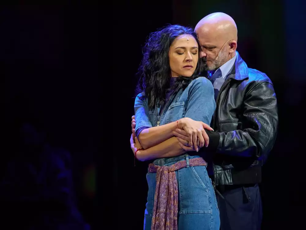 The Bodyguard  - preview image
