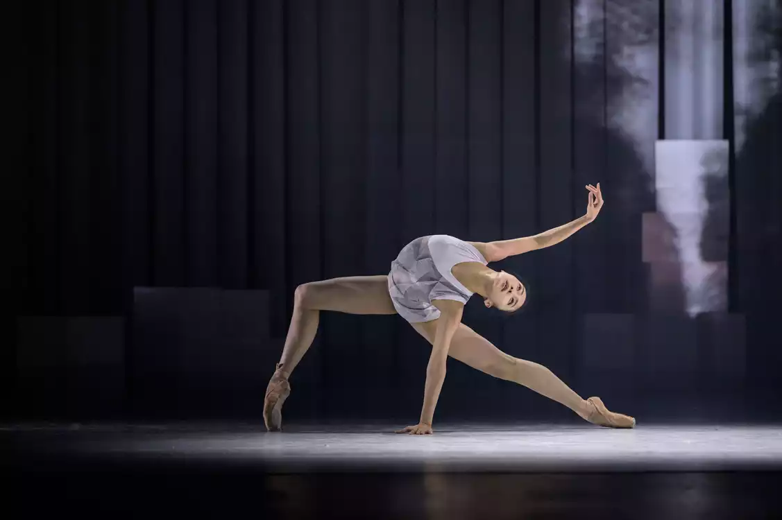 Avant-Garde: Cutting Edge - preview image