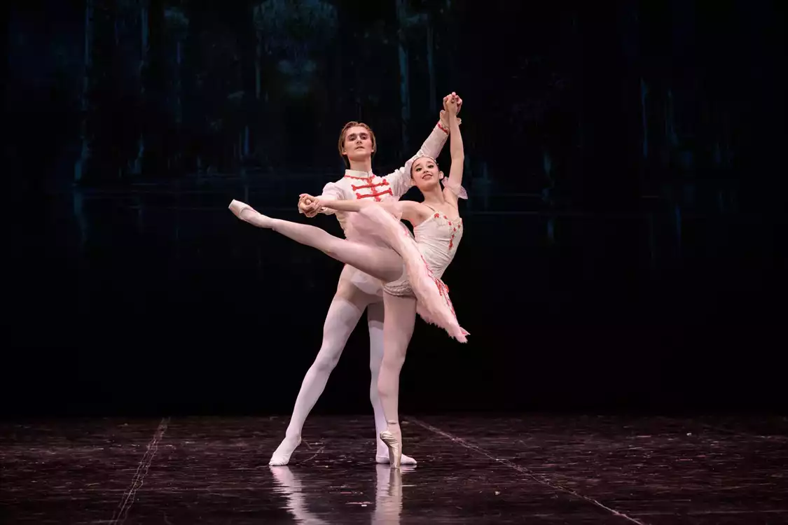 The Nutckracker: Enter the world of Christmas magic - preview image