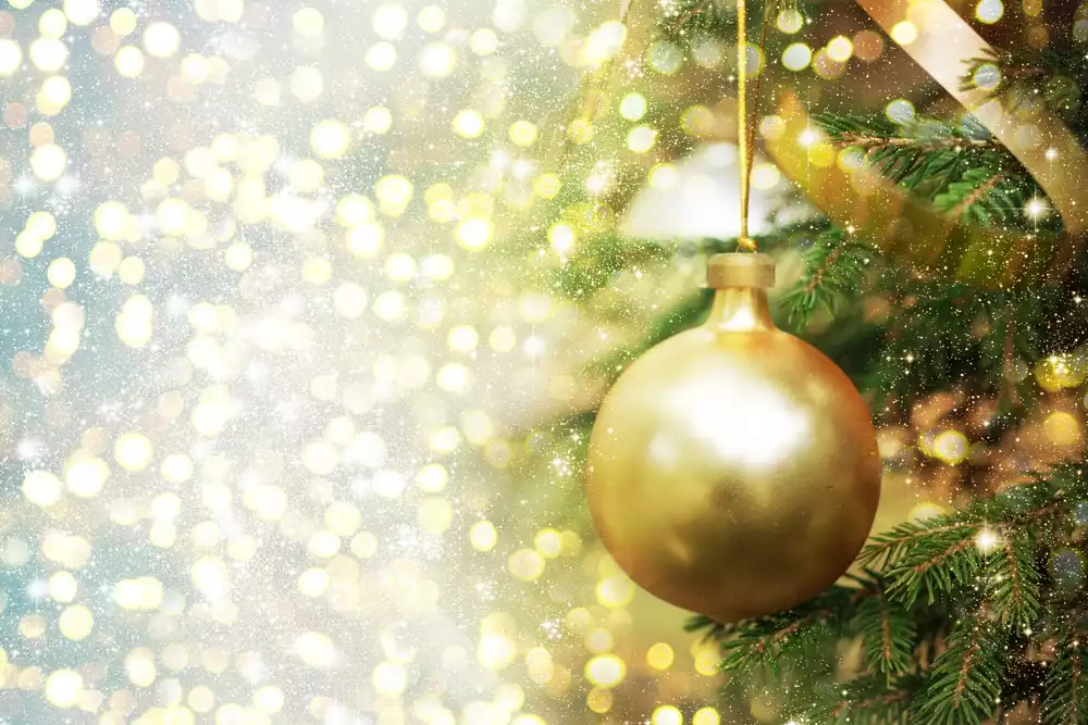 Christmas Concert of the Prague Philharmonic Chamber Orchestra - preview image