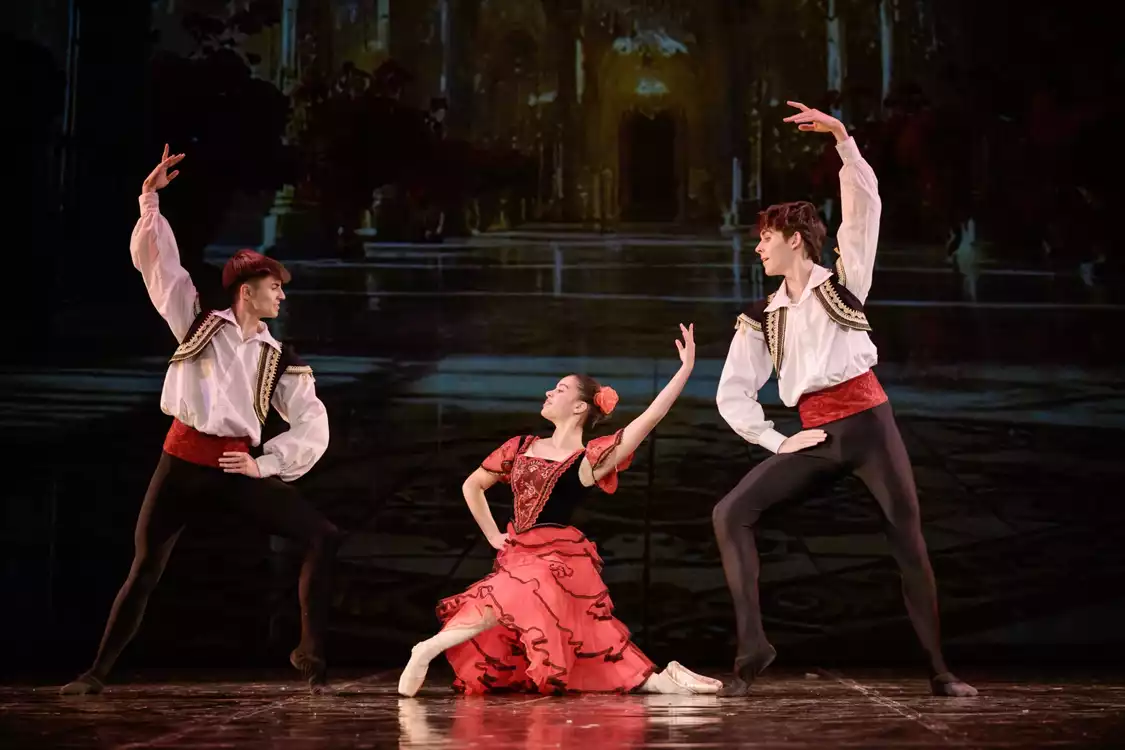 Classic Ballet Gala - preview image