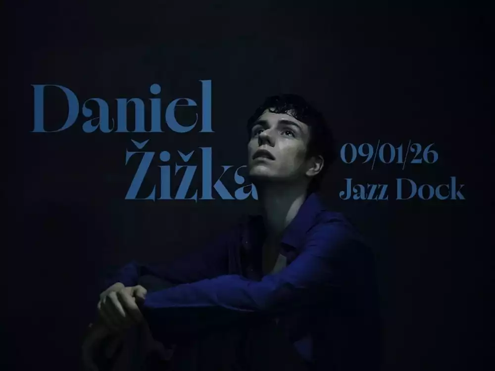 Daniel Žižka - preview image