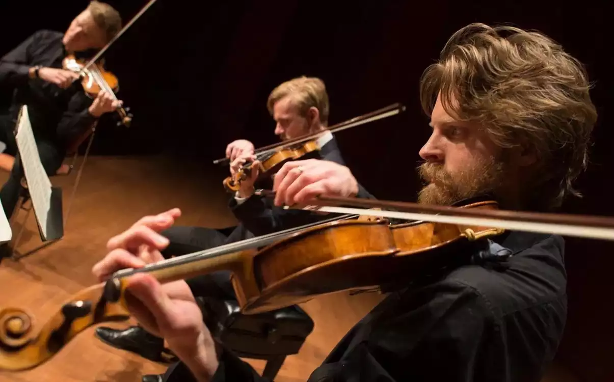 Quatuor à cordes danois  - aperçu de l'image
