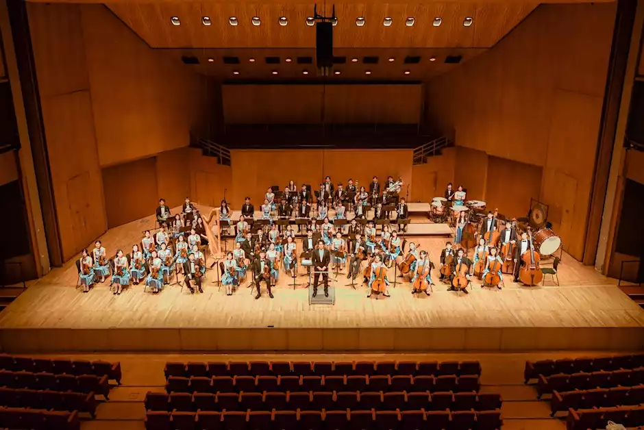 Hong Kong Children's Symphony Orchestra Live in Concert - free entry - preview image