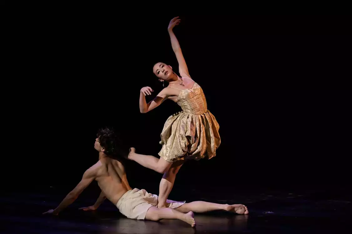 Bubeníček International Ballet GALA 2026 - aperçu de l'image