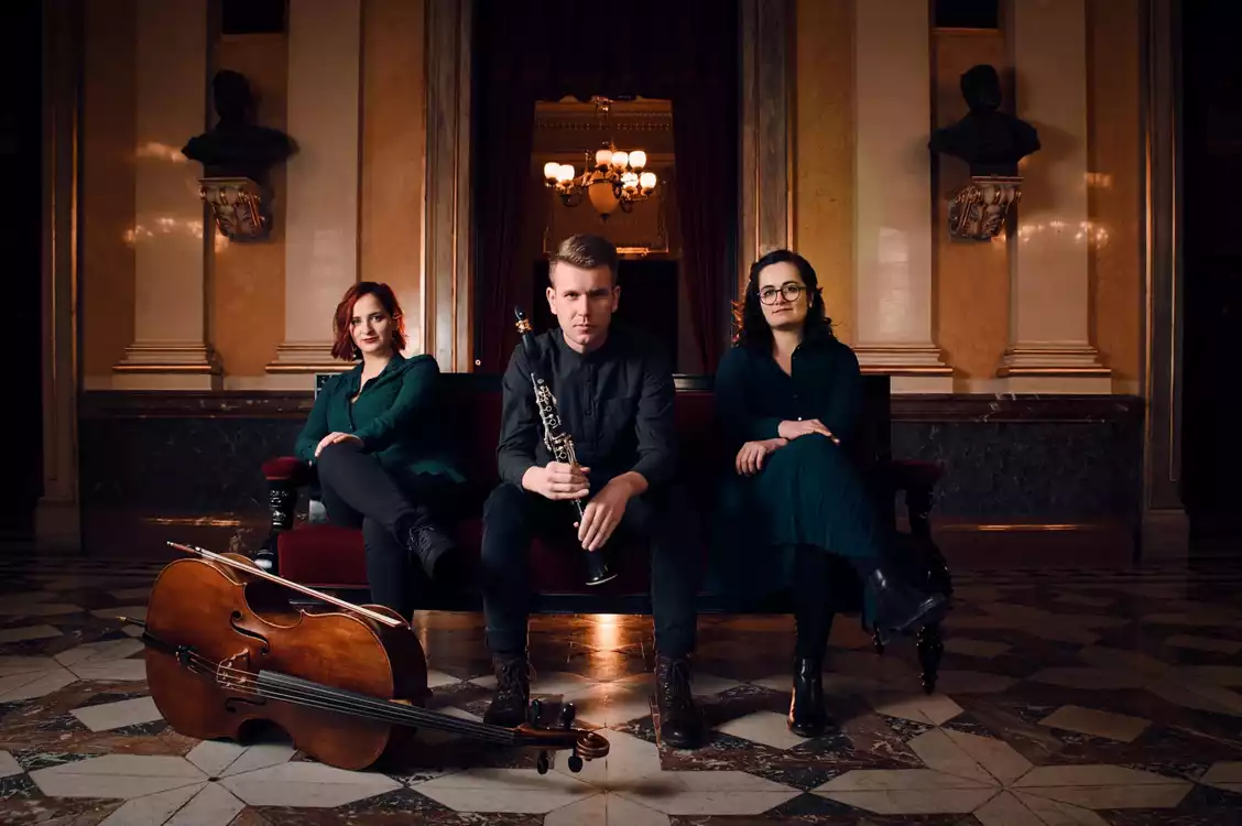 Schumann. Juon. Tajčević - preview image