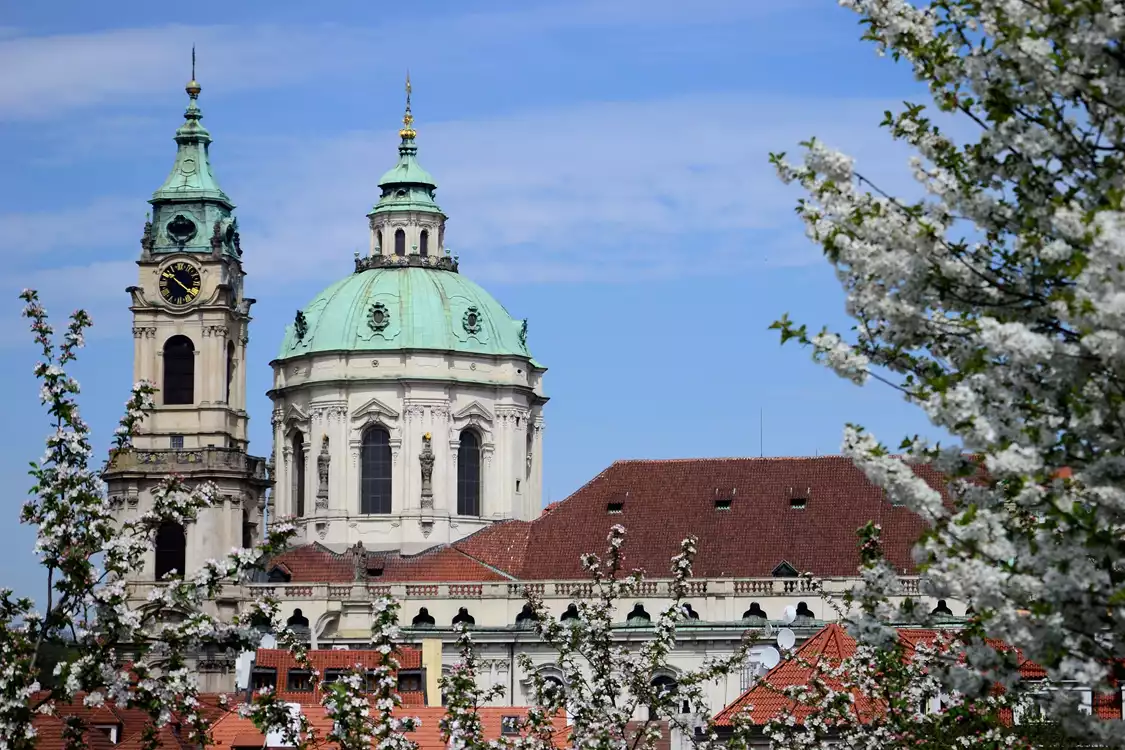 Catalogue of Birds - preview image