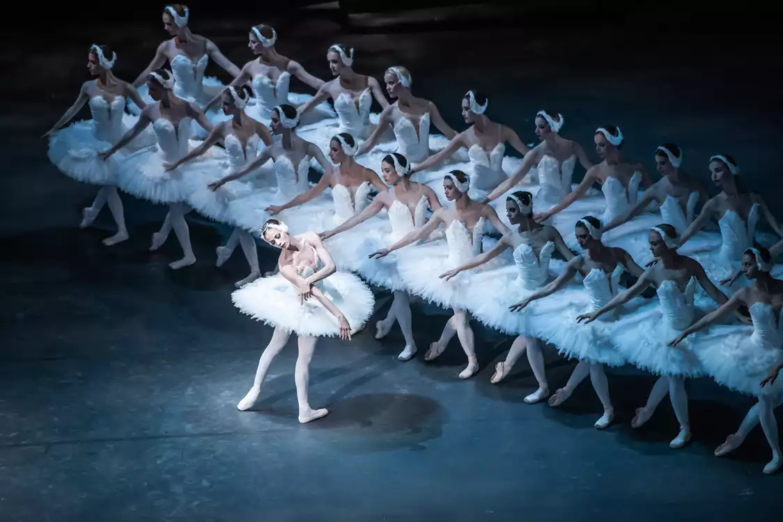 The Swan Lake - preview image