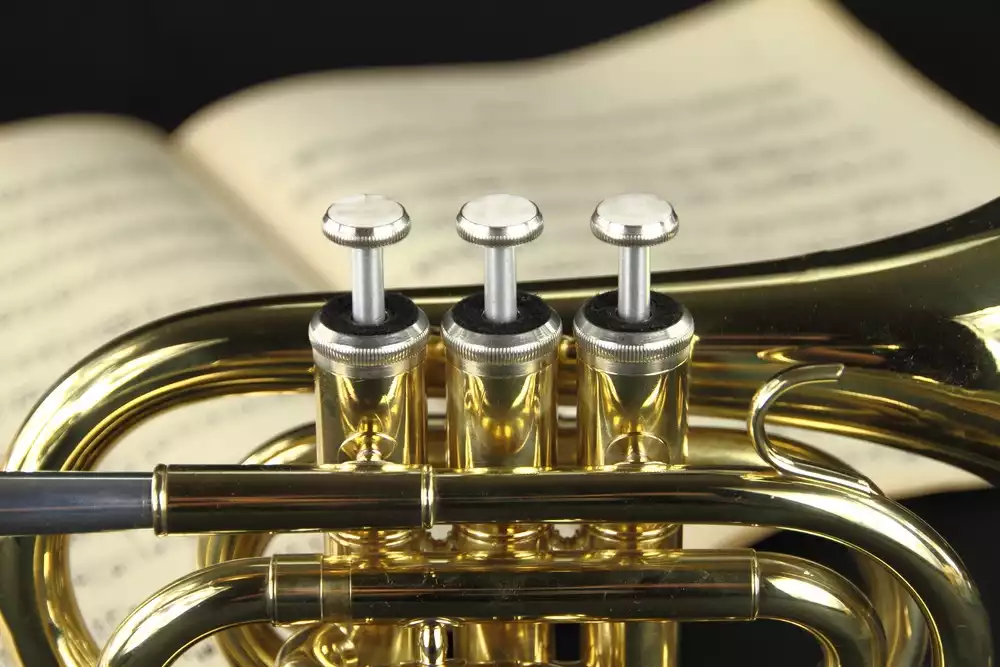 Trumpet under the Church Dome - preview image
